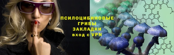 ПСИЛОЦИБИНОВЫЕ ГРИБЫ Козловка