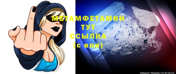 ПСИЛОЦИБИНОВЫЕ ГРИБЫ Козловка