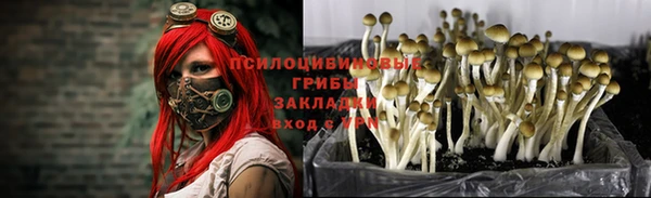 ешки Козельск
