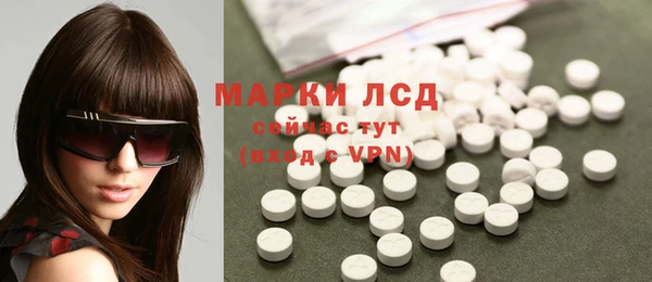 ПСИЛОЦИБИНОВЫЕ ГРИБЫ Козловка
