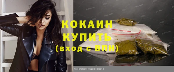 ешки Козельск