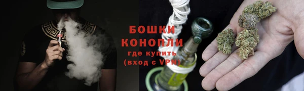 ПСИЛОЦИБИНОВЫЕ ГРИБЫ Козловка