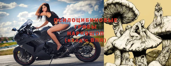 ПСИЛОЦИБИНОВЫЕ ГРИБЫ Козловка