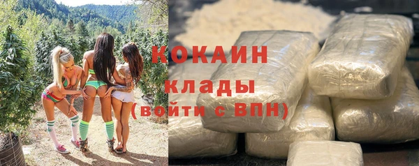 ПСИЛОЦИБИНОВЫЕ ГРИБЫ Козловка