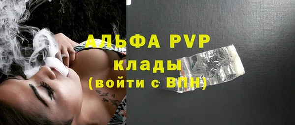 ПСИЛОЦИБИНОВЫЕ ГРИБЫ Козловка